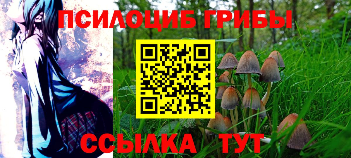 Рубцовск  Галлюциногенные грибы Cubensis  Галлюциногенные грибы Cubensis  Вход с VPN 